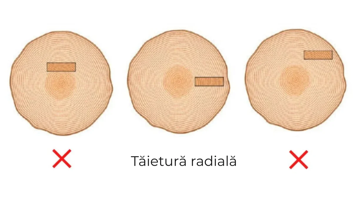 Trei reprezentări ale poziției scândurii în buștean; cea din mijloc arată tăierea radială